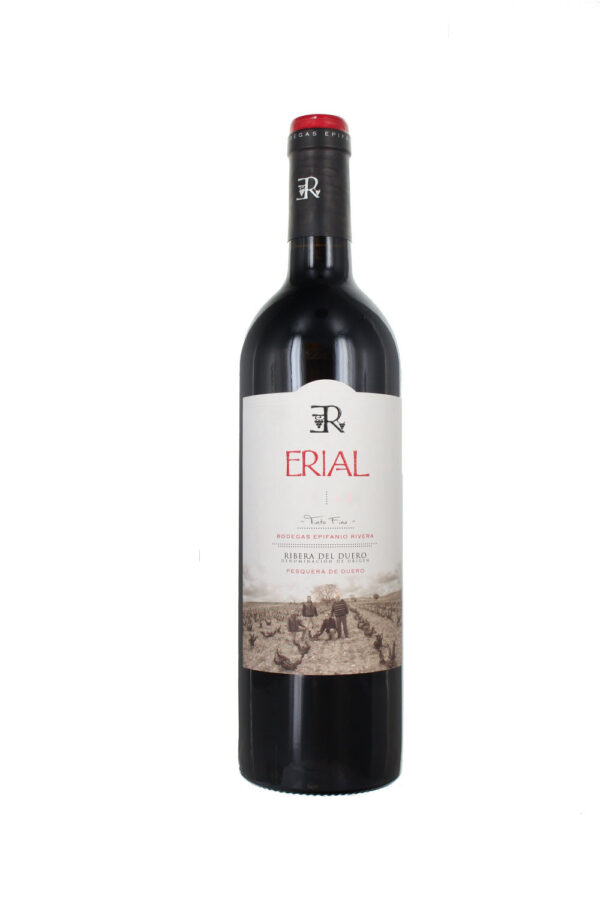 2019 Erial Tinto, Bodegas Epifanio Rivera, Ribera del Duero, Spain (Case)