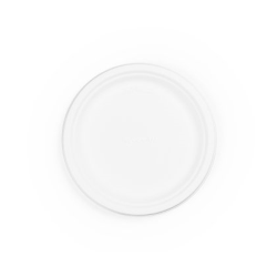 Bagasse Plate 8.75