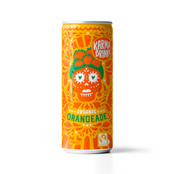 Karma Drinks Summer Orangeade Can