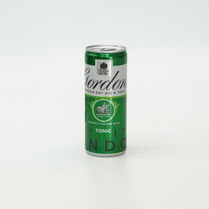 Gordon's Gin & Tonic Premix