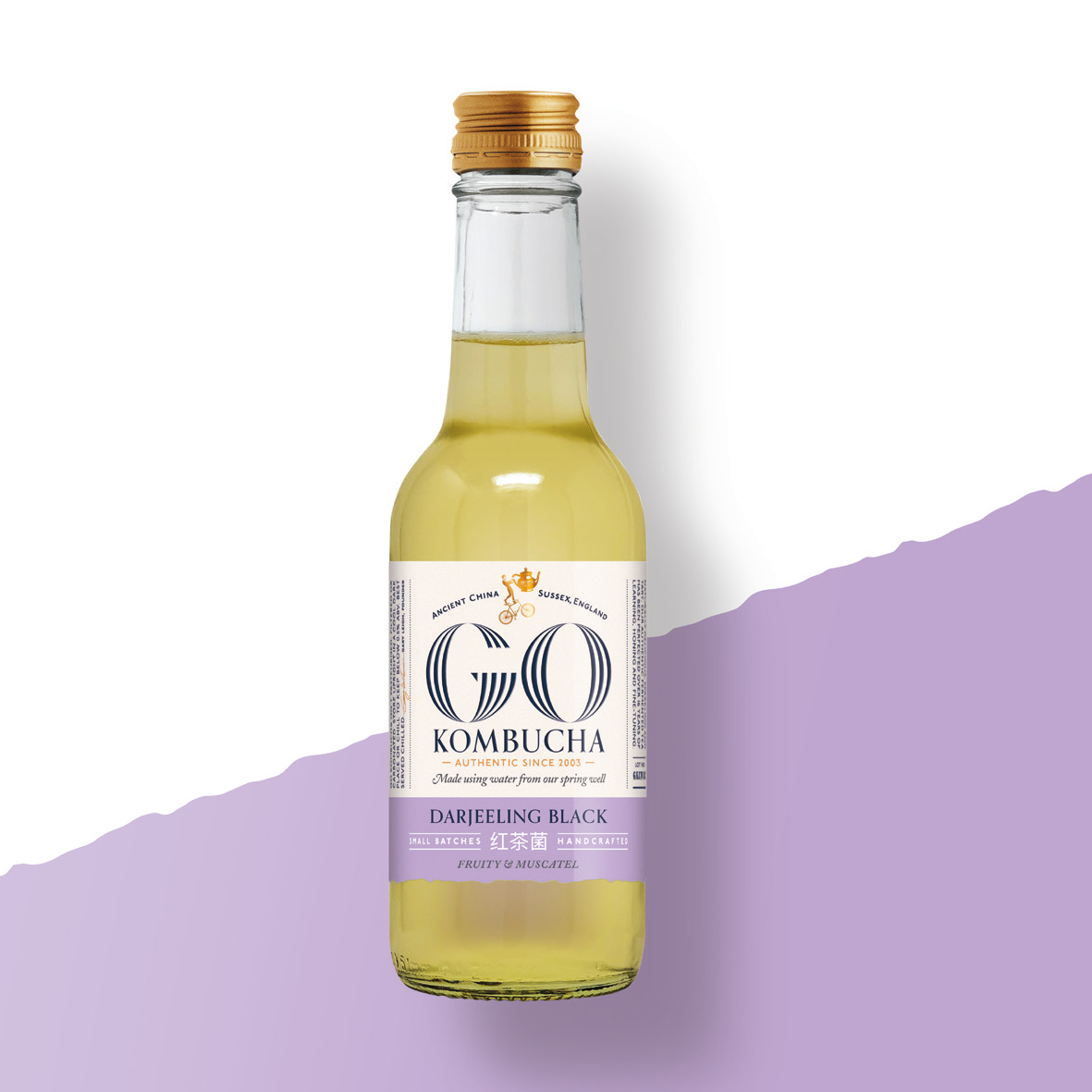 GO Kombucha Darjeeling Black 250ml