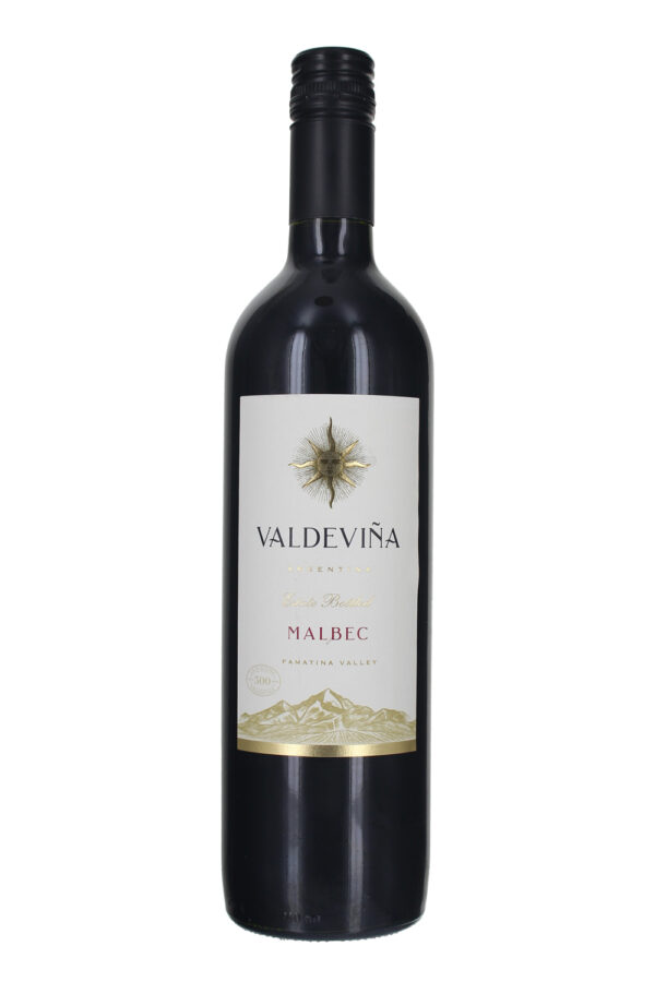 2021 Valdevina Malbec, Famatina Valley, Argentina (Case)