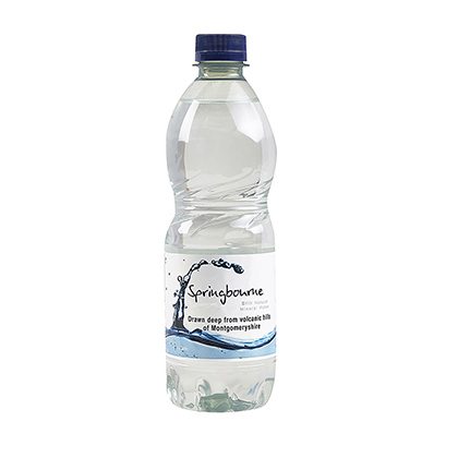 Springbourne Natural Mineral Water Still 500ml Plastic Bottle
